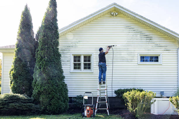 Best Patio and Deck Pressure Washing  in Union, KY